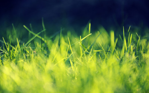 1706857 (a): :2560x1600